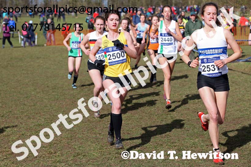 Womens under-20s 2019 British Athletics Inter Counties Cross Country, Prestwood Hall, Loughborough. Photo:  David T. Hewitson/Sports for All Pics